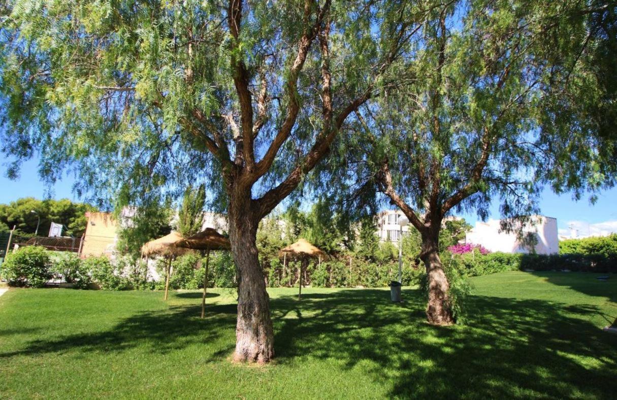 Sweetwater Home - Apartamento Ideal Para Tus Vacaciones El Campillo del Moro Екстериор снимка